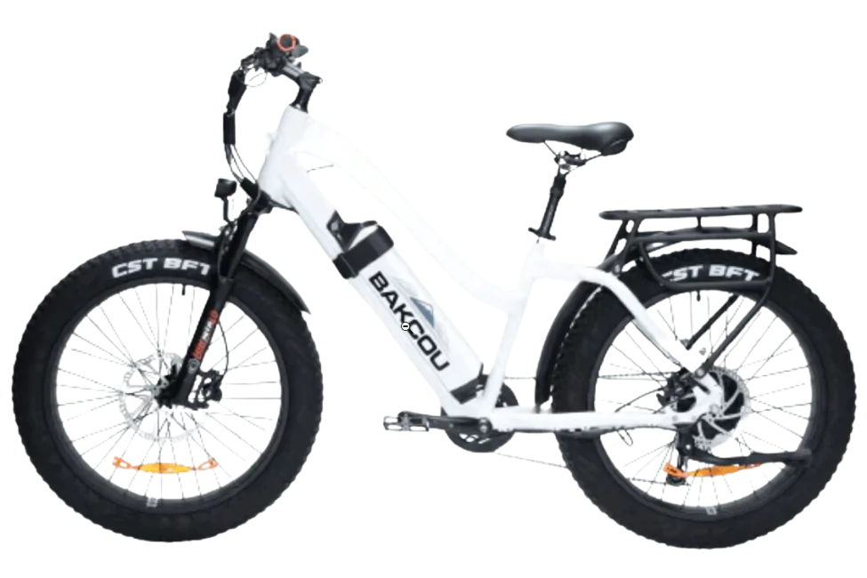 Flatlander ST 24 Gloss White