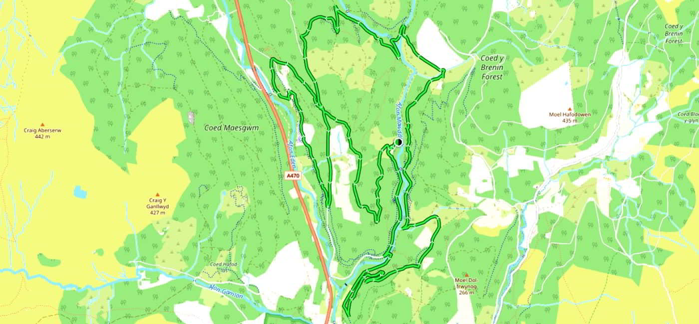 Coed Y Brenin