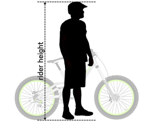 rider height
