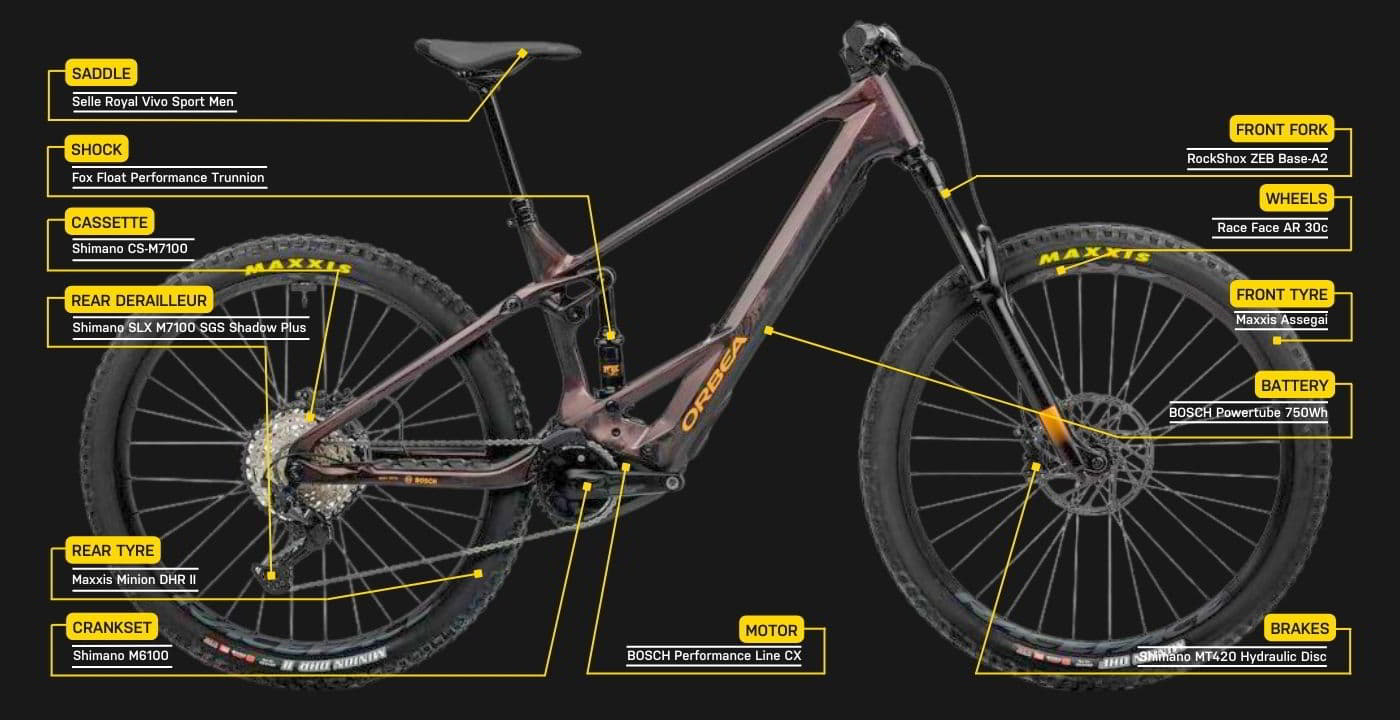 Orbea Wild M20