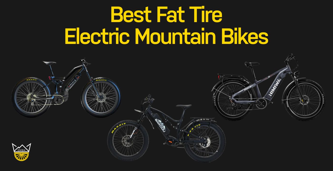 Best Fat Tire Electric Mountain Bikes (2024) E Mountain Bikes